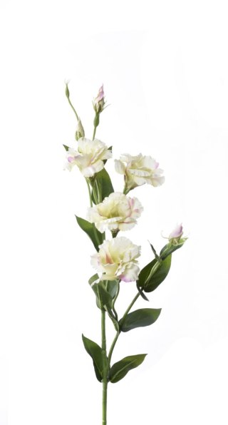 PAN KWIATEK-EUSTOMA KWIAT DEKORACYJNY SZTUCZNY KWIATY sztuczne PREMIUM