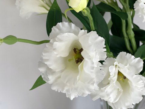 PAN KWIATEK - EUSTOMA mini na piku biała klasyczna dekoracyjna wpinka
