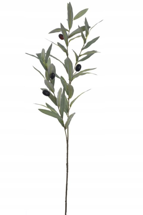 PAN KWIATEK - GAŁĄZKA OLIWNA SZTUCZNA Dekoracyjna 80 cm wysyłka z PL PAN KWIATEK - GAŁĄZKA OLIWNA SZTUCZNA Dekoracyjna 80 cm wysyłka z PL