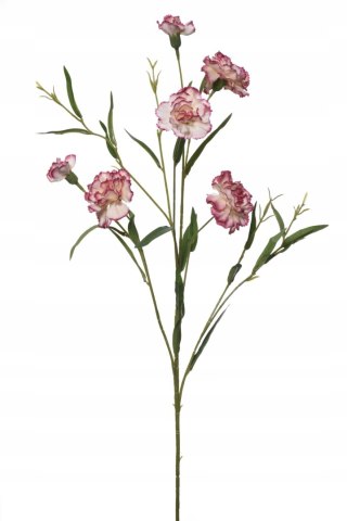 PAN KWIATEK_GOZDZIK ŁODYGA KWIAT KWIATY PINK 75cm