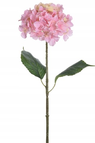 PAN KWIATEK- HORTENSJA PINK nr262 POJEDYŃCZA KWIATY SZTYCZNE premium