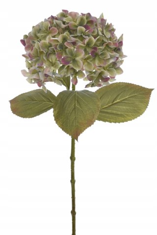 PAN KWIATEK- Hortensja pojedyncza SZTUCZNA 65cm nowość zielona + fiolet