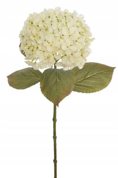 PAN KWIATEK- Hortensja pojedyncza SZTUCZNA CREAM white kolor 65cm nowość PAN KWIATEK- Hortensja pojedyncza SZTUCZNA CREAM white kolor 65cm nowość
