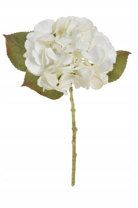 PAN KWIATEK- Hortensja pojedyncza SZTUCZNA cream kolor 48cm nowość
