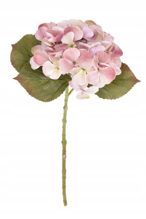 PAN KWIATEK- Hortensja pojedyncza SZTUCZNA dr.violet kolor 48cm nowość PAN KWIATEK- Hortensja pojedyncza SZTUCZNA dr.violet kolor 48cm nowość