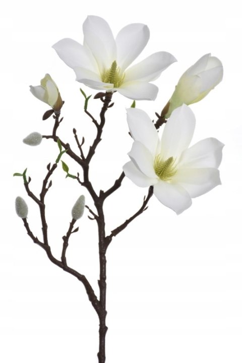 PAN KWIATEK Magnolia KRÓLEWSKA sztuczna kwiaty sztuczne dekoracyjne premium PAN KWIATEK Magnolia KRÓLEWSKA sztuczna kwiaty sztuczne dekoracyjne premium