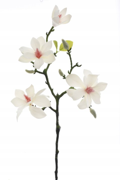 PAN KWIATEK Magnolia SZTUCZNA bonsai 58cm WHITE kwiaty sztuczne PAN KWIATEK Magnolia SZTUCZNA bonsai 58cm WHITE kwiaty sztuczne