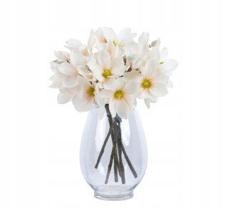 PAN KWIATEK Magnolia mini natural LOOK APRICOT delikatna ozdobna magnolia