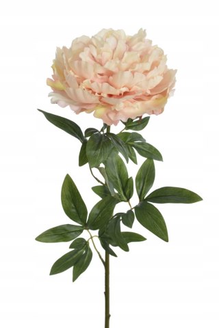 PAN KWIATEK PEONIA POJEDYŃCZA WHITE PREMIUN 72cm XL kwiaty sztuczne