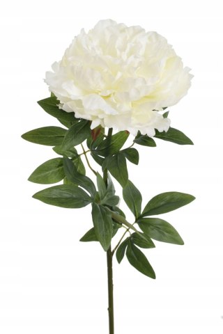 PAN KWIATEK PEONIA POJEDYŃCZA WHITE PREMIUN 72cm XL kwiaty sztuczne