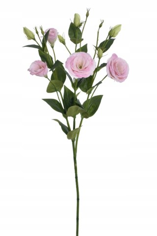 Pan Kwiatek EUSTOMA sztuczna Wielokwiatowa PREMIUM 76cm PREMIUM NOWOŚĆ 2025