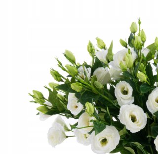 Pan Kwiatek EUSTOMA wielkokwiatowa sztuczna Królewska 76cm PREMIUM 2025