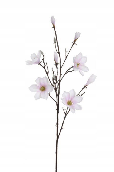 Pan Kwiatek - Magnolia sztuczna KRÓLEWSKA sztuczna kwiaty sztuczne LT.Rose Pan Kwiatek - Magnolia sztuczna KRÓLEWSKA sztuczna kwiaty sztuczne LT.Rose