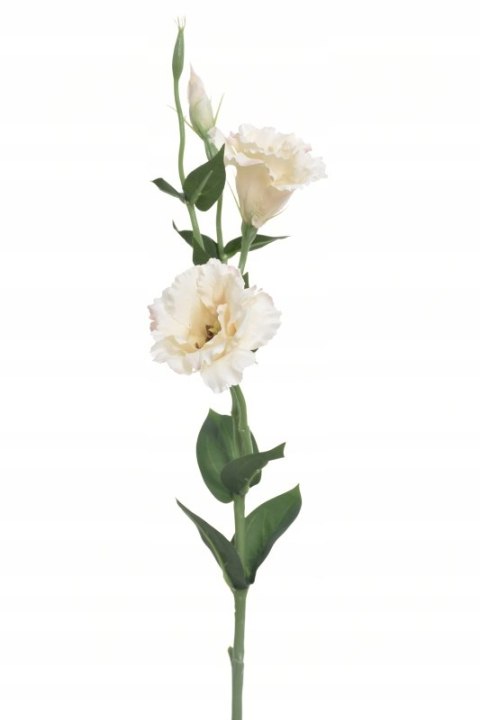 PAN KWIATEK- EUSTOMA SZTUCZNA KWIATY SZTUCZNE EUSTOMA ŚREDNIA PREMIUM PAN KWIATEK- EUSTOMA SZTUCZNA KWIATY SZTUCZNE EUSTOMA ŚREDNIA PREMIUM