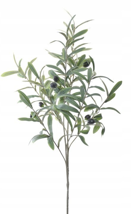 PAN KWIATEK - GAŁĄZKA OLIWNA SZTUCZNA Dekoracyjna 95cm wysyłka z PL PAN KWIATEK - GAŁĄZKA OLIWNA SZTUCZNA Dekoracyjna 95cm wysyłka z PL