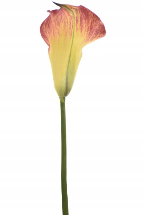 PAN KWIATEK - KALLA CALLA KWIAT ŁODYGA KWIATY SZTUCZNE dekoracyjne 2