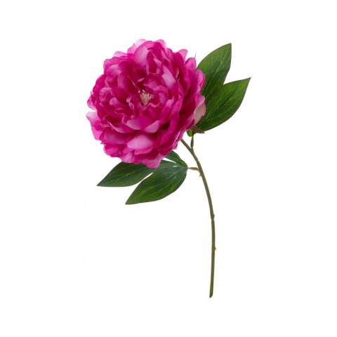 PAN KWIATEK - PEONIA PIWONIA KWIATY do wazonu SZTUCZNE GAŁĄZKA fuksja PAN KWIATEK - PEONIA PIWONIA KWIATY do wazonu SZTUCZNE GAŁĄZKA fuksja