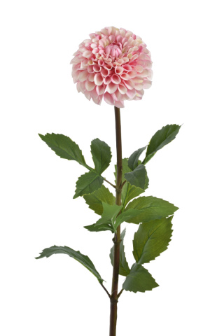 Dalia sztuczna wysoka premium pink