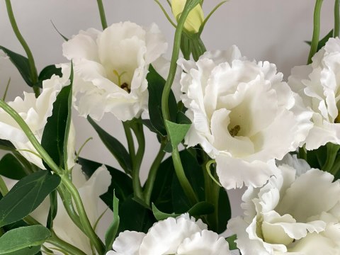PAN KWIATEK- EUSTOMA WIELOKWIATOWA SZTUCZNA BIAŁA KWIATY SZTUCZNE 65cm