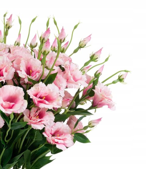 PAN KWIATEK- EUSTOMA kwiaty sztuczne kwiat DEKORACYJNY EUSTOMY 80cm PREMIUM