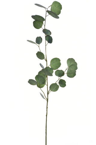 Pan Kwiatek Eukaliptus gałązka sztuczna 80cm