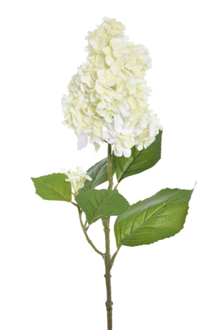 Hortensja OGRODOWA SZTUCZNA CREAM