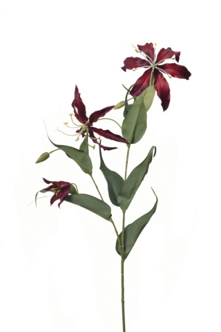 Glorioza czerwona sztuczna