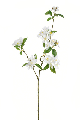 Gałązka kwitnąca Brzoskwinia gałązka 90cm